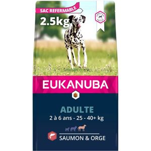 Comida para perros de raza grande con salmón y cebada - 2,5kg Comida para perros de raza grande con salmón y cebada - 2,5kg