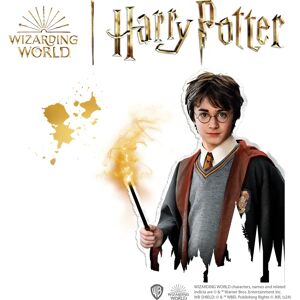 SES Creative Harry Potter Diamond Painting Kit - Creative Harry Potter - Set creativ copii - decoreaza cu diamante - Harry Potter - Set creativ copii - decoreaza cu diamante SES Creative Harry Potter Diamond Painting Kit - Creative Harry Potter - Set creativ copii - decoreaza cu diamante - Harry Potter - Set creativ copii - decoreaza cu diamante