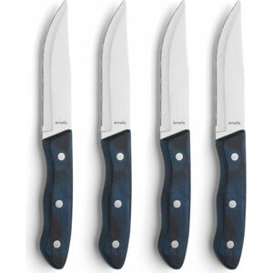 Amefa Hercules 4-delig steakmes set - RVS Amefa Hercules 4-delig steakmes set - RVS
