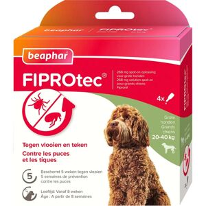Beaphar Fiprotec Grosse Chien Anti-Puces et Tiques - Publicité Beaphar Fiprotec Grosse Chien Anti-Puces et Tiques - Publicité