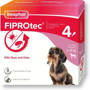 Beaphar Beaphar FIPROtec Flea Tick Spot-On Small Dog 2-10kg - Flea & Tick Control Beaphar Beaphar FIPROtec Flea Tick Spot-On Small Dog 2-10kg - Flea & Tick Control
