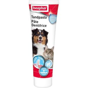 Dentifrice Beaphar Saveur Foie pour Chiens et Chats - Publicité Dentifrice Beaphar Saveur Foie pour Chiens et Chats - Publicité