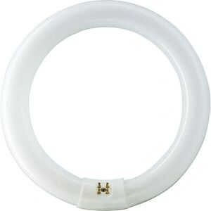 Philips TL-E 40W/840 - Omnidirectional, Dimmable, 3200lm - Fluorescent bulb Philips TL-E 40W/840 - Omnidirectional, Dimmable, 3200lm - Fluorescent bulb