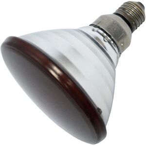 Philips Par38 IR 175W E27 - Lampe de chauffage infrarouge - Rouge - Publicité Philips Par38 IR 175W E27 - Lampe de chauffage infrarouge - Rouge - Publicité