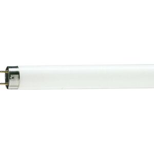 Philips Master TL-D 90 De Luxe G13 18W Cool white - Fluorescent bulb Philips Master TL-D 90 De Luxe G13 18W Cool white - Fluorescent bulb