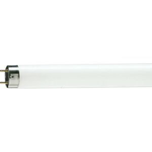 Philips Master TL-D 90 De Luxe Fluorescent Bulb - T8 Philips Master TL-D 90 De Luxe Fluorescent Bulb - T8