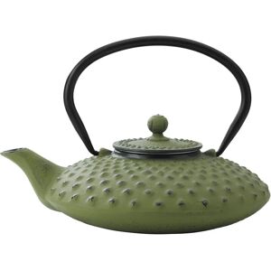 Bredemeijer Xilin Cast Iron Teapot - Green - Teapot Bredemeijer Xilin Cast Iron Teapot - Green - Teapot