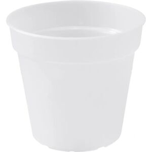 Vaso orchidee verde Elho 15CM Trasparente - Vaso Vaso orchidee verde Elho 15CM Trasparente - Vaso