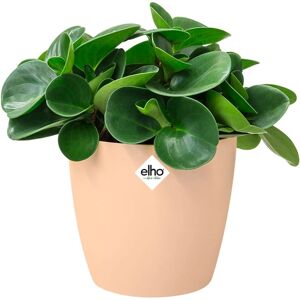 Elho Plant Pot Brussels - Frost Resistant, Recyclable, Modern Design Elho Plant Pot Brussels - Frost Resistant, Recyclable, Modern Design