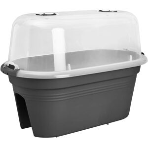 Elho Green Basics Zestaw do uprawy na balkonie - Balkon - Plastik recyklingowy Elho Green Basics Zestaw do uprawy na balkonie - Balkon - Plastik recyklingowy