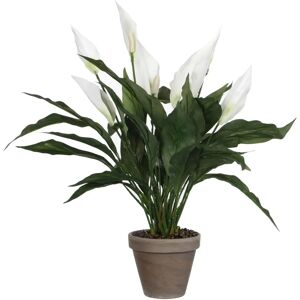 Mica Decorations Pianta Artificiale Spathiphyllum Bianco 50x40cm Mica Decorations Pianta Artificiale Spathiphyllum Bianco 50x40cm