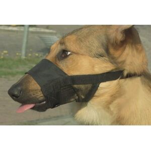 Beeztees Beeztees Hundskydd - L - 18-24 cm Beeztees Beeztees Hundskydd - L - 18-24 cm