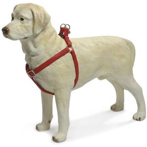 Beeztees - Macleather - Rot - 20x50-75 - Harness Beeztees - Macleather - Rot - 20x50-75 - Harness