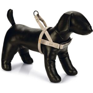 Beeztees Beeztees Parinca Premium Confort Harnais pour Chien - Réfléchissant, Réglable, Néoprène - Publicité Beeztees Beeztees Parinca Premium Confort Harnais pour Chien - Réfléchissant, Réglable, Néoprène - Publicité