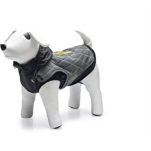 Beeztees Allia (28) - Manteau pour chien - Publicité Beeztees Allia (28) - Manteau pour chien - Publicité