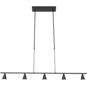 Suspension Sienna Vortex noire - 5 LED - IP20 - Publicité Suspension Sienna Vortex noire - 5 LED - IP20 - Publicité