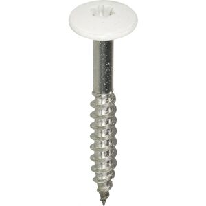 Toolstation RVS Witte Schroeven 4,8x38mm TX20 - Schroeven Toolstation RVS Witte Schroeven 4,8x38mm TX20 - Schroeven