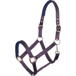 Imperial Riding Halfter IRHClassic Sport Bordeaux - Kopfstück Imperial Riding Halfter IRHClassic Sport Bordeaux - Kopfstück