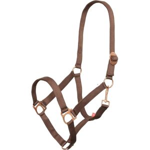 Collier de tête IRHEconomic Walnut - Collier - Publicité Collier de tête IRHEconomic Walnut - Collier - Publicité
