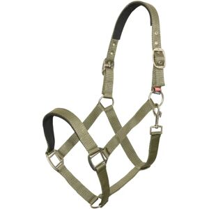 Halfter Imperial Riding IRHClassic Sport Vert Olive - Pouliche - Publicité Halfter Imperial Riding IRHClassic Sport Vert Olive - Pouliche - Publicité