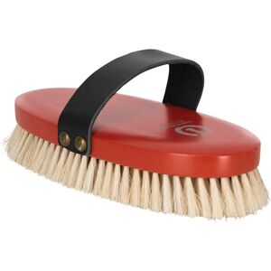 Imperial Riding Neon Orange Pferdepflegebürste - Einheitsgröße Imperial Riding Neon Orange Pferdepflegebürste - Einheitsgröße