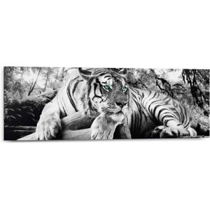 HOME AFFAIRE Tiger guckt dich an - Wandbild HOME AFFAIRE Tiger guckt dich an - Wandbild