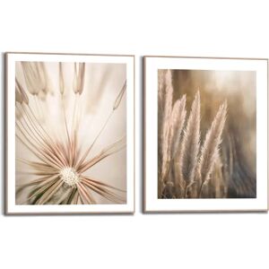 Reinders! Wandbild - Natur Botanisch - Pampas Löwenzahn - 40x50 cm Reinders! Wandbild - Natur Botanisch - Pampas Löwenzahn - 40x50 cm