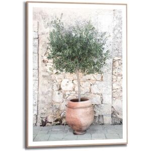 Reinders Olive Tree Wandbild - Bild Reinders Olive Tree Wandbild - Bild