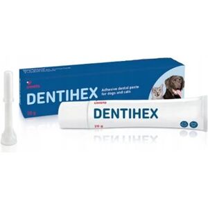 Forte Healthcare Ltd Dentisept Adhesive Dental Paste - Dental Paste for Pets Forte Healthcare Ltd Dentisept Adhesive Dental Paste - Dental Paste for Pets