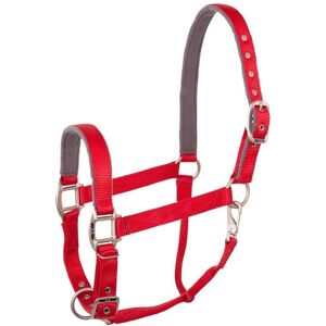 Harnais pour chevaux BR Equitation - Nylon réglable en polaire - Harnais - Publicité Harnais pour chevaux BR Equitation - Nylon réglable en polaire - Harnais - Publicité