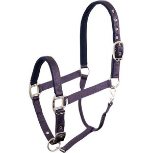 Harnais pour chevaux BR Equitation - Nylon réglable avec doublure en polaire - Boucles argentées - Publicité Harnais pour chevaux BR Equitation - Nylon réglable avec doublure en polaire - Boucles argentées - Publicité
