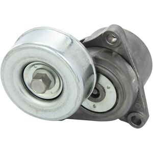 Kavo Parts DTP-6507 Spannrolle - Spannrolle für Nissan X-Trail Kavo Parts DTP-6507 Spannrolle - Spannrolle für Nissan X-Trail