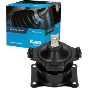 Kavo Parts EEM-2096 Vorderer Motorhalter - Für Honda Accord Kavo Parts EEM-2096 Vorderer Motorhalter - Für Honda Accord