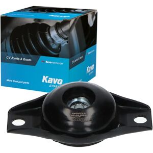 KAVO PARTS SSM-10106 Hinterachse Federbeinstützlager KAVO PARTS SSM-10106 Hinterachse Federbeinstützlager