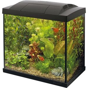 Superfish Start 50 Aquarium - Zwart - Aquarium Superfish Start 50 Aquarium - Zwart - Aquarium