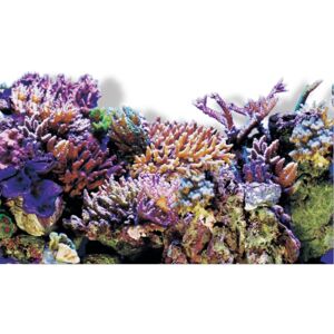 SuperFish Reef/Grey 60x49cm Aquarium Background Poster SuperFish Reef/Grey 60x49cm Aquarium Background Poster