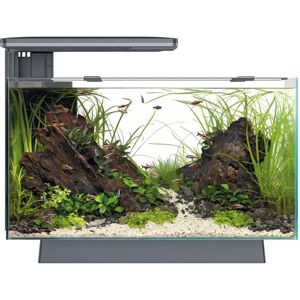 Superfish Quadro 40 Multi Colour - Aquarium Fish Tank - Black Superfish Quadro 40 Multi Colour - Aquarium Fish Tank - Black