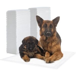 IRIS OHYAMA Tapis d'entraînement pour chiots - Super absorbant - 59x90cm - Publicité IRIS OHYAMA Tapis d'entraînement pour chiots - Super absorbant - 59x90cm - Publicité