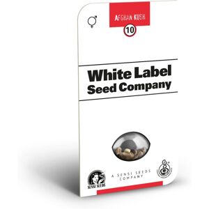 Sensi Seeds Afghan Kush Regular - Short Flowering Cannabis Seeds Sensi Seeds Afghan Kush Regular - Short Flowering Cannabis Seeds