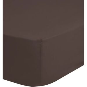 Hip Baumwolle-Satin Spannbettlaken 160x200cm Hip Baumwolle-Satin Spannbettlaken 160x200cm