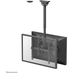 Support Double TV Neomounts by Newstar - 32-60" Écrans Support Double TV Neomounts by Newstar - 32-60" Écrans