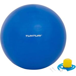 Tunturi Fitnessbal 65 cm - Evenwicht & Krachtbal Tunturi Fitnessbal 65 cm - Evenwicht & Krachtbal