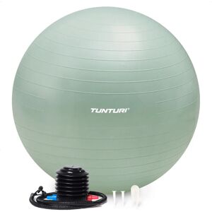 Tunturi Anti Burst Fitness Ball 65cm - Support up to 220kg Tunturi Anti Burst Fitness Ball 65cm - Support up to 220kg