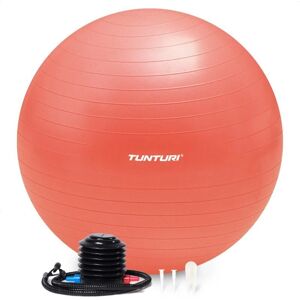 Tunturi - Anti Burst Fitnessbal - 75 cm - Fitness ball Tunturi - Anti Burst Fitnessbal - 75 cm - Fitness ball