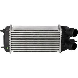 Intercooler NRF 30193 - Échangeur d'air pour Citroën Jumpy II Peugeot Expert II Fiat Scudo - Publicité Intercooler NRF 30193 - Échangeur d'air pour Citroën Jumpy II Peugeot Expert II Fiat Scudo - Publicité