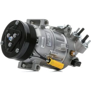 Compressores de Ar Condicionado NRF B.V. para Peugeot & Citroën - 32819 Compressores de Ar Condicionado NRF B.V. para Peugeot & Citroën - 32819