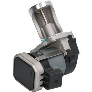 OEM EGR-venttiili Volkswagen ja Seat - 48730 OEM EGR-venttiili Volkswagen ja Seat - 48730