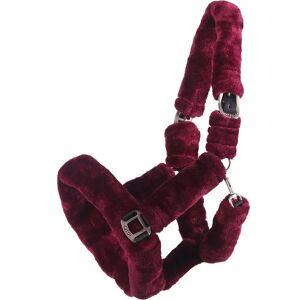 QHP - Alaska Headcollar - Burgundy-Black - Cob - Headcollar - Publicité QHP - Alaska Headcollar - Burgundy-Black - Cob - Headcollar - Publicité