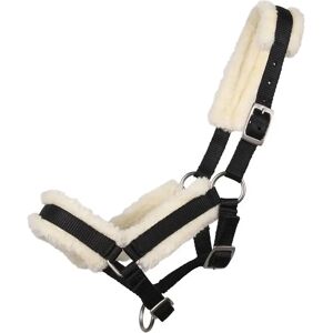 QHP - Fur Lined Foal - Noir - Pony Foal - Headcollar - Publicité QHP - Fur Lined Foal - Noir - Pony Foal - Headcollar - Publicité