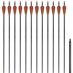 vidaXL 12x Flèches de arc classique 30" 0,76 cm en carbone - Flèches vidaXL 12x Flèches de arc classique 30" 0,76 cm en carbone - Flèches